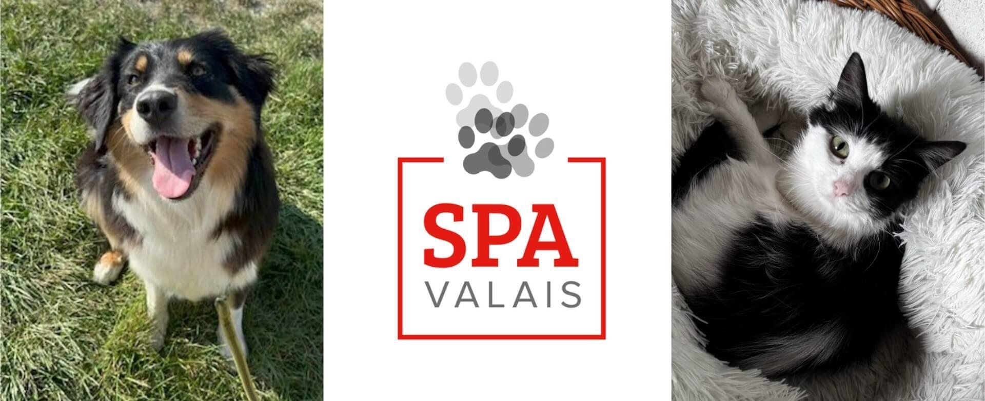 Spa du Valais resized.jpg