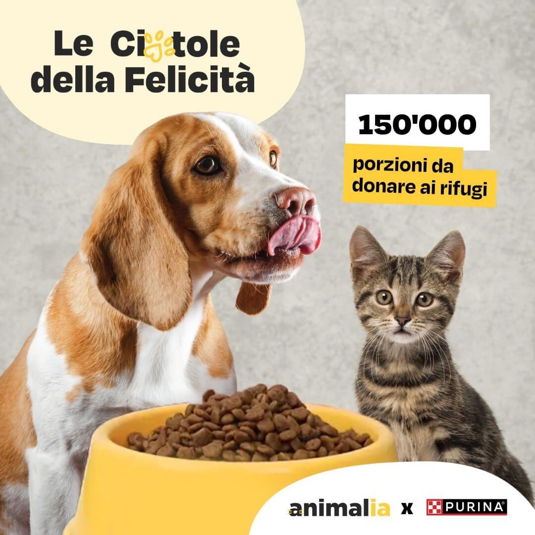 it_hero_donations.jpg